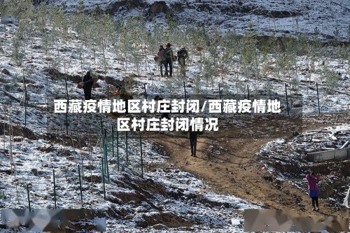 西藏疫情地区村庄封闭/西藏疫情地区村庄封闭情况