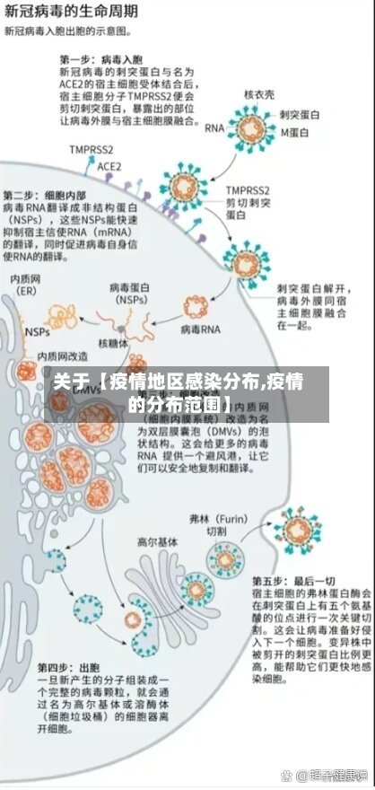 关于【疫情地区感染分布,疫情的分布范围】-第2张图片