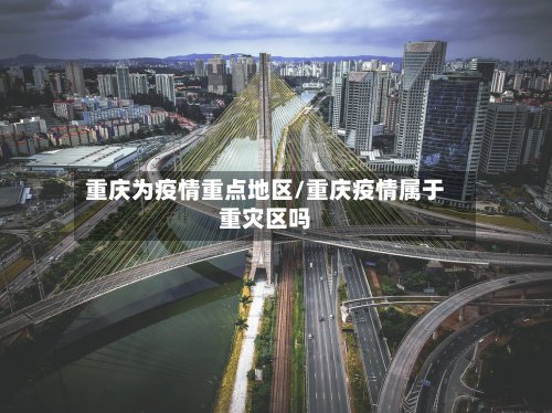 重庆为疫情重点地区/重庆疫情属于重灾区吗-第3张图片