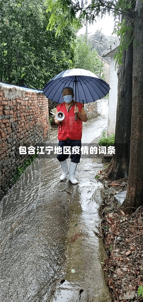 包含江宁地区疫情的词条