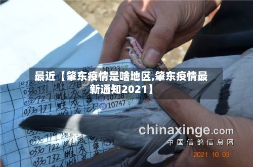 最近【肇东疫情是啥地区,肇东疫情最新通知2021】