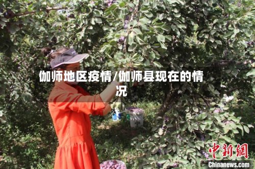 伽师地区疫情/伽师县现在的情况