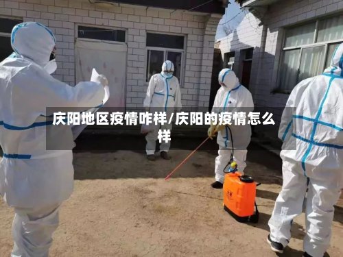 庆阳地区疫情咋样/庆阳的疫情怎么样-第2张图片