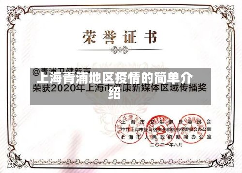上海青浦地区疫情的简单介绍