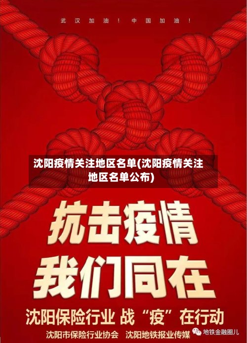 沈阳疫情关注地区名单(沈阳疫情关注地区名单公布)-第3张图片