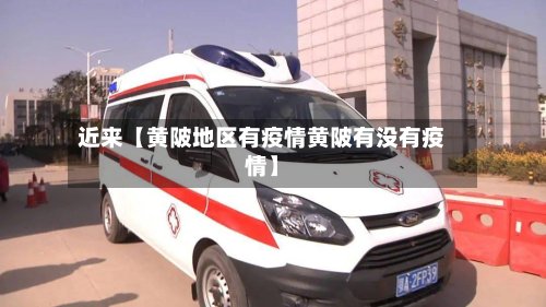 近来【黄陂地区有疫情黄陂有没有疫情】-第3张图片