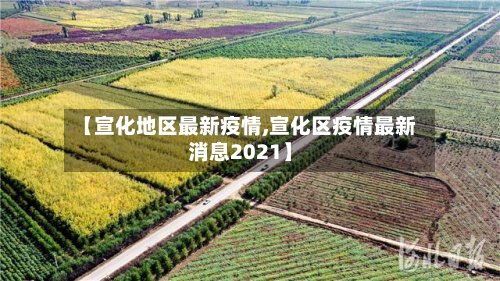 【宣化地区最新疫情,宣化区疫情最新消息2021】-第2张图片