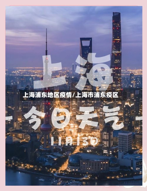 上海浦东地区疫情/上海市浦东疫区