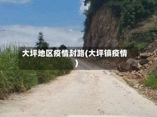 大坪地区疫情封路(大坪镇疫情)