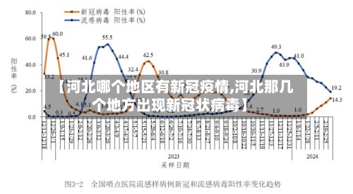 【河北哪个地区有新冠疫情,河北那几个地方出现新冠状病毒】