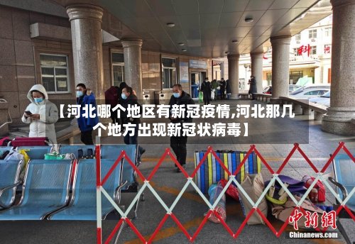 【河北哪个地区有新冠疫情,河北那几个地方出现新冠状病毒】-第2张图片