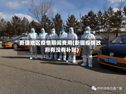 新疆地区疫情期间费用(新疆疫情政府有没有补贴)-第3张图片