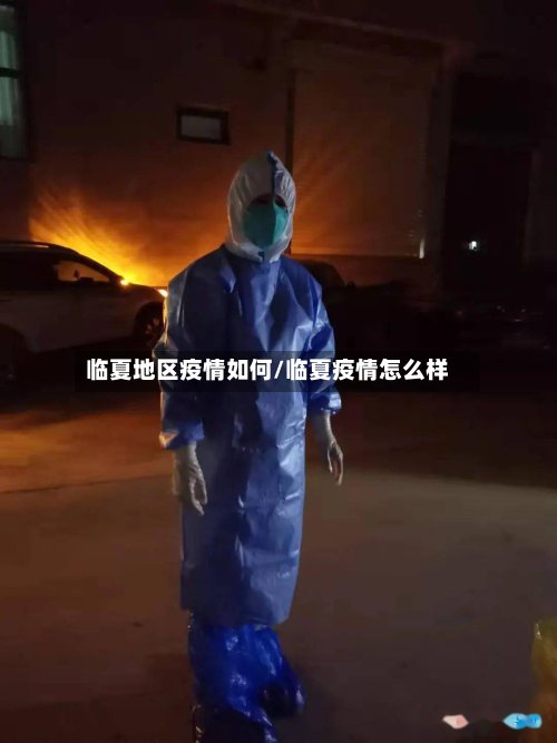 临夏地区疫情如何/临夏疫情怎么样