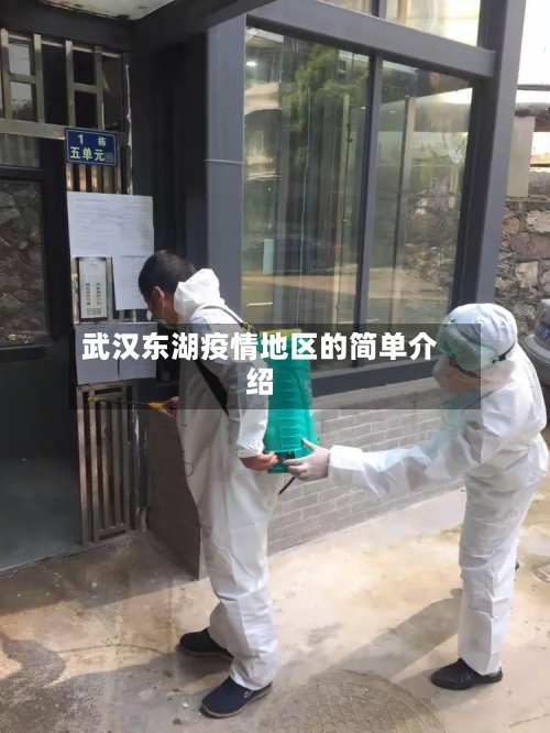 武汉东湖疫情地区的简单介绍