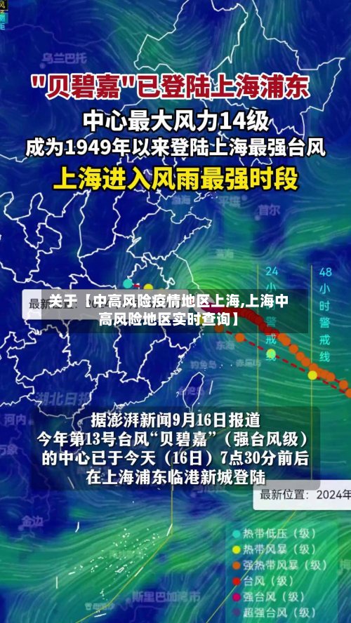 关于【中高风险疫情地区上海,上海中高风险地区实时查询】-第2张图片