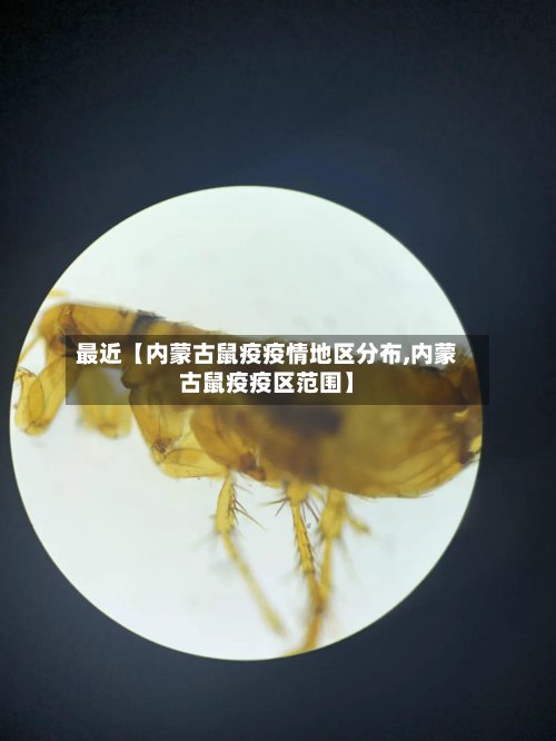 最近【内蒙古鼠疫疫情地区分布,内蒙古鼠疫疫区范围】-第2张图片