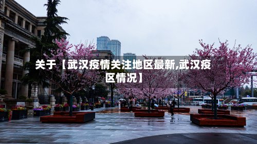 关于【武汉疫情关注地区最新,武汉疫区情况】-第2张图片