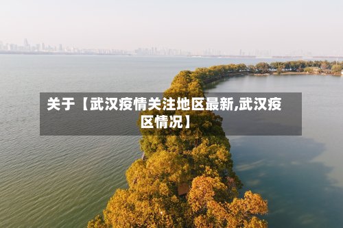 关于【武汉疫情关注地区最新,武汉疫区情况】