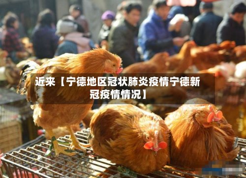 近来【宁德地区冠状肺炎疫情宁德新冠疫情情况】