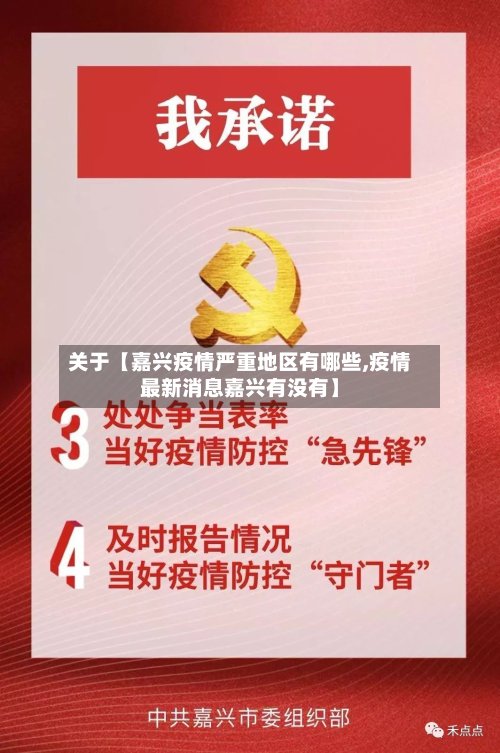 关于【嘉兴疫情严重地区有哪些,疫情最新消息嘉兴有没有】-第3张图片