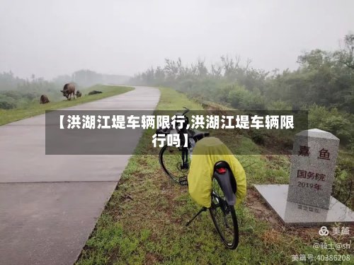 【洪湖江堤车辆限行,洪湖江堤车辆限行吗】-第2张图片