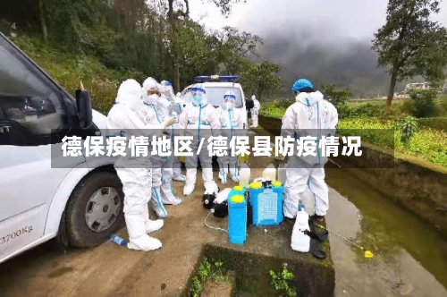 德保疫情地区/德保县防疫情况-第3张图片