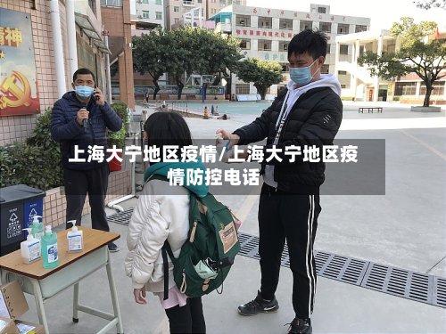 上海大宁地区疫情/上海大宁地区疫情防控电话-第3张图片