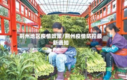 荆州地区疫情政策/荆州疫情防控最新通知-第2张图片