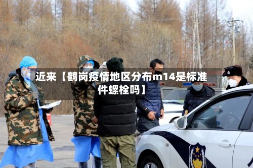 近来【鹤岗疫情地区分布m14是标准件螺栓吗】