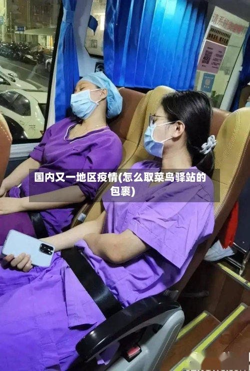 国内又一地区疫情(怎么取菜鸟驿站的包裹)