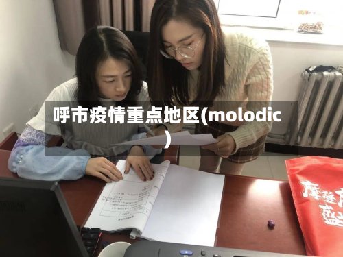 呼市疫情重点地区(molodic)