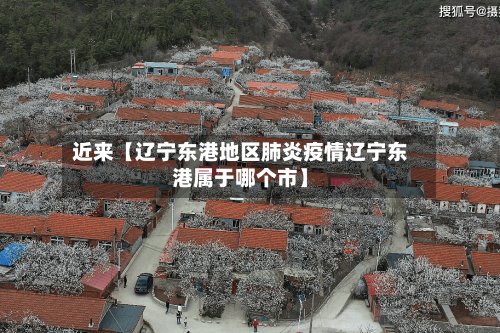 近来【辽宁东港地区肺炎疫情辽宁东港属于哪个市】