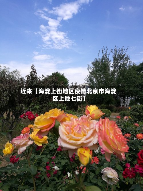 近来【海淀上街地区疫情北京市海淀区上地七街】