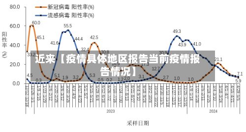 近来【疫情具体地区报告当前疫情报告情况】-第2张图片