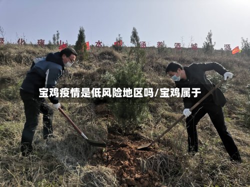宝鸡疫情是低风险地区吗/宝鸡属于