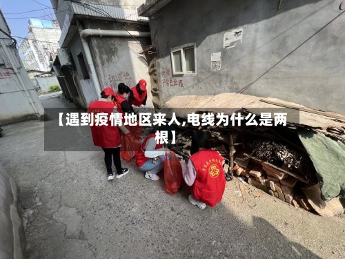 【遇到疫情地区来人,电线为什么是两根】-第2张图片