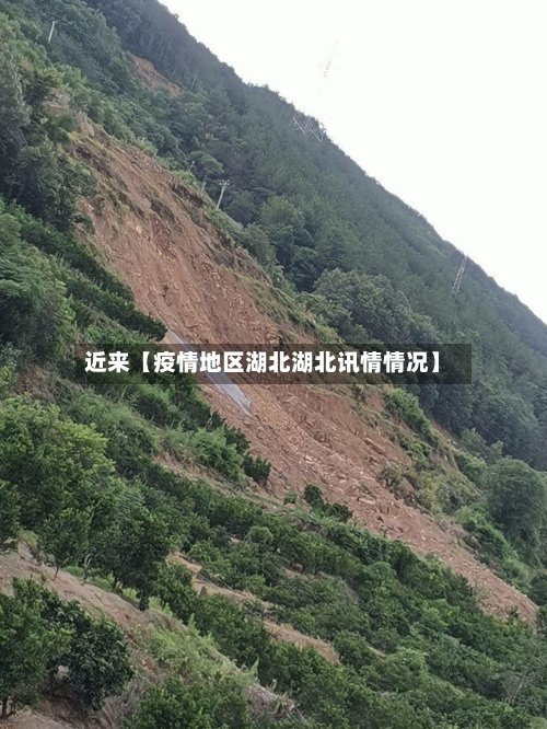 近来【疫情地区湖北湖北讯情情况】