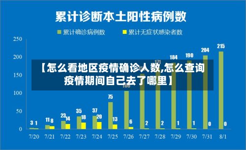 【怎么看地区疫情确诊人数,怎么查询疫情期间自己去了哪里】-第2张图片