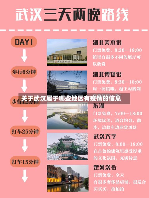 关于武汉属于哪些地区有疫情的信息
