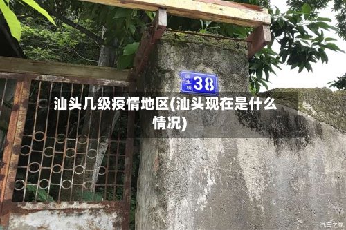 汕头几级疫情地区(汕头现在是什么情况)