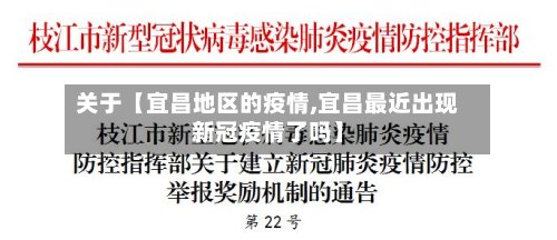 关于【宜昌地区的疫情,宜昌最近出现新冠疫情了吗】-第3张图片