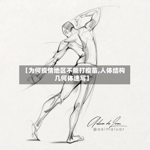 【为何疫情地区不能打疫苗,人体结构几何体速写】