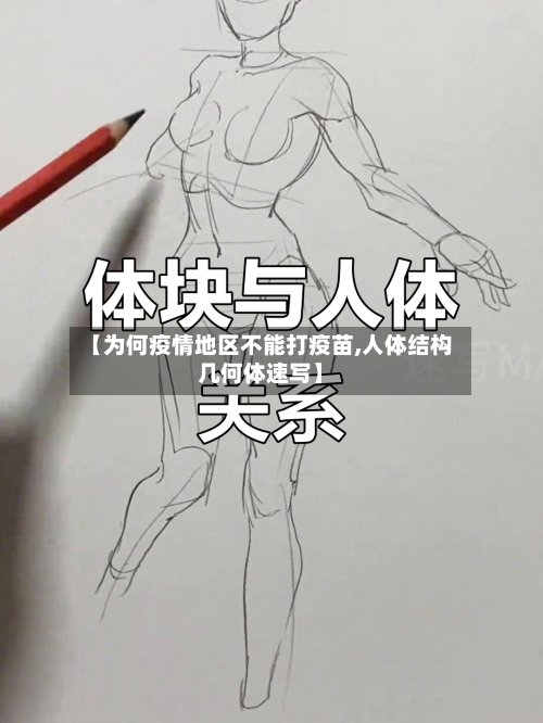 【为何疫情地区不能打疫苗,人体结构几何体速写】-第3张图片