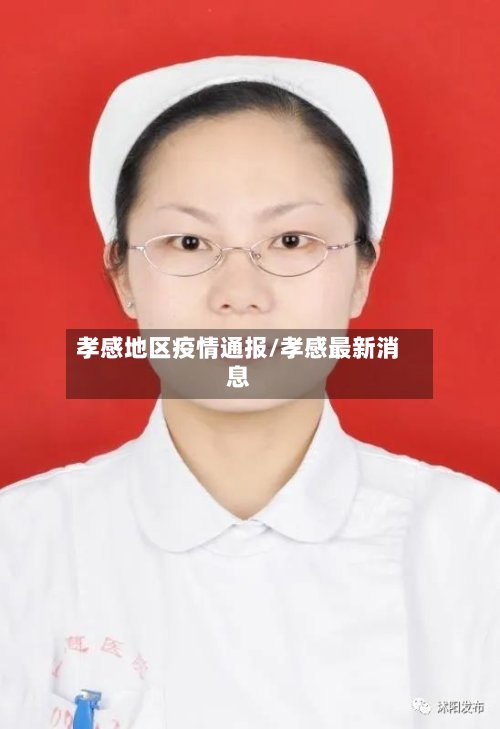 孝感地区疫情通报/孝感最新消息-第3张图片