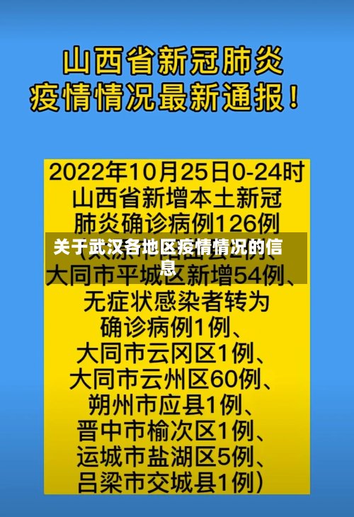 关于武汉各地区疫情情况的信息