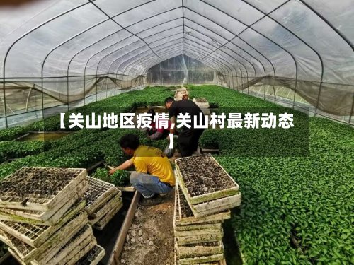 【关山地区疫情,关山村最新动态】-第3张图片