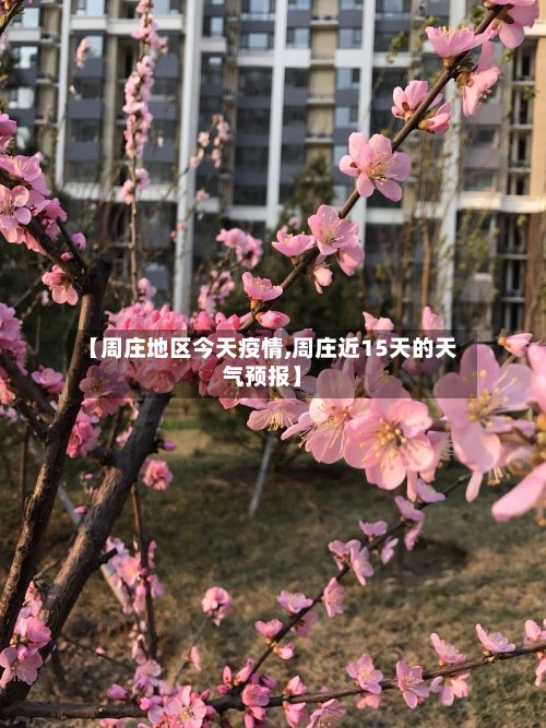 【周庄地区今天疫情,周庄近15天的天气预报】-第2张图片