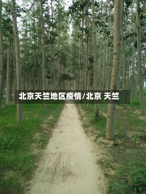 北京天竺地区疫情/北京 天竺-第3张图片