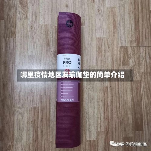 哪里疫情地区发瑜伽垫的简单介绍