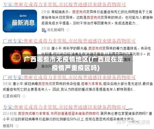 广西哪些市无疫情地区(广西现在是疫情严重疫区吗)-第3张图片